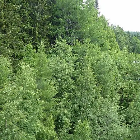 Bedrichov,